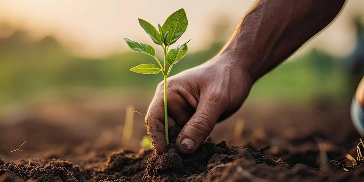 Etichettatura e tracciabilità delle NGT: “Costi insostenibili per la filiera”